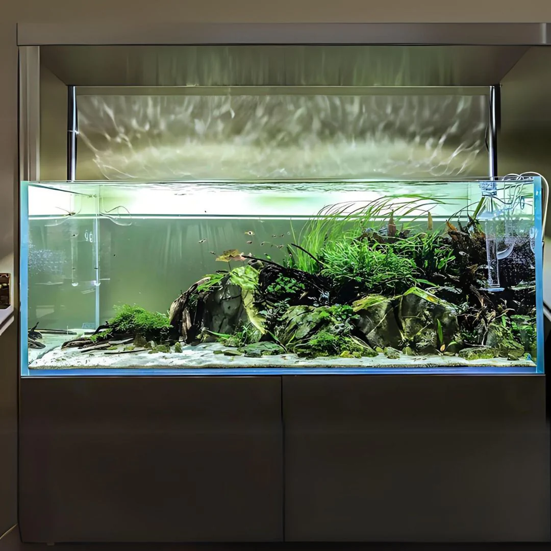 Customized Ultra Clear Open Tank