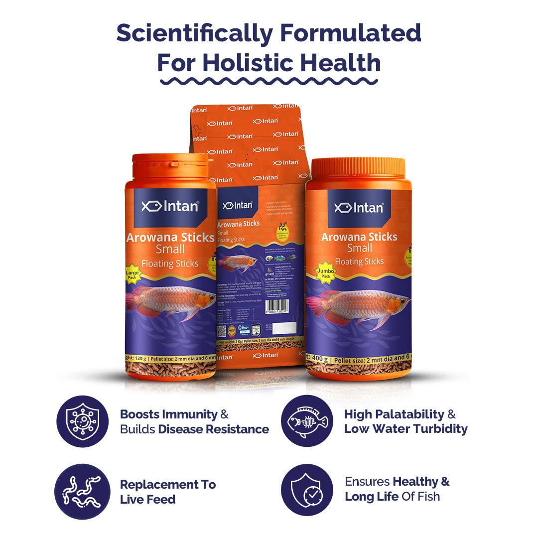 Intan Arowana Sticks - Small | Floating Fish Food