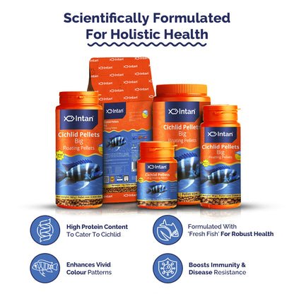 Intan Cichlid Pellets - Big | Floating Pellets| Fish Food