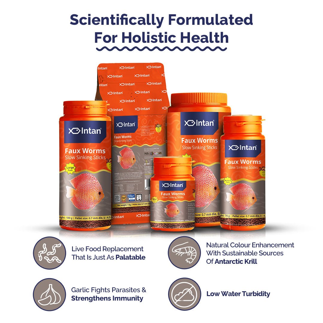 Intan Faux Worms - Slow Sinking Fish Food | Sticks