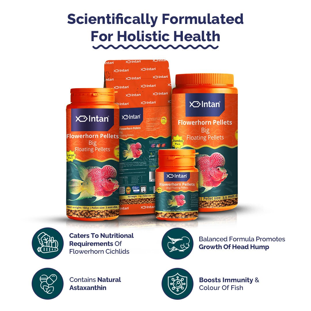 Intan Flower Horn Pellets - Big | Floating Pellets | Fish Food