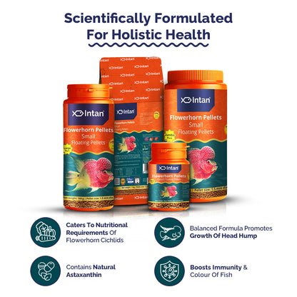 Intan Flower Horn Pellets - Small | Floating Pellets | Fish Food