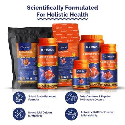 Intan Goldfish Pellets - Big | Floating Pellets | Fish Food