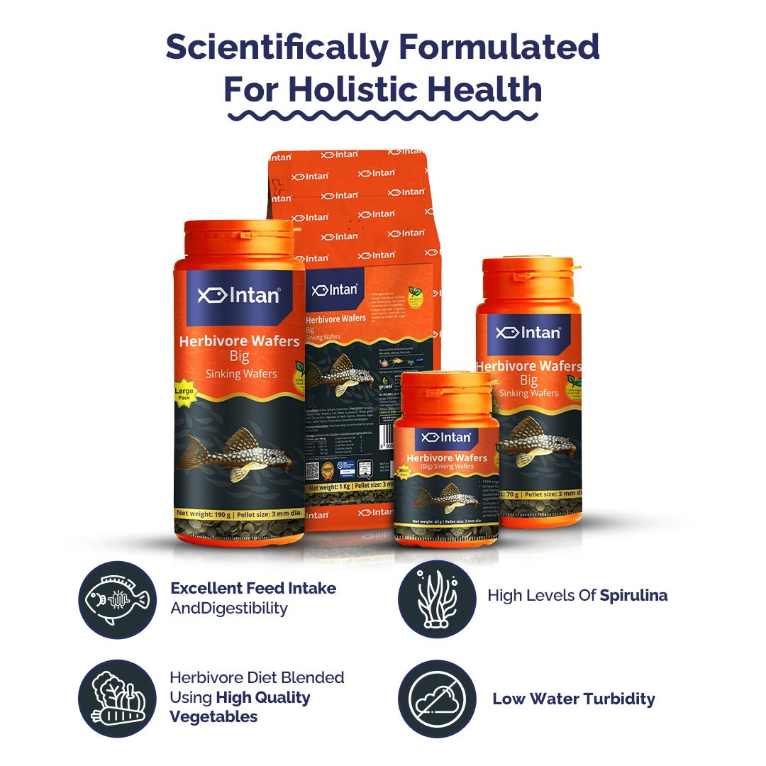 Intan Herbivore Wafers - Big | Sinking Fish Food